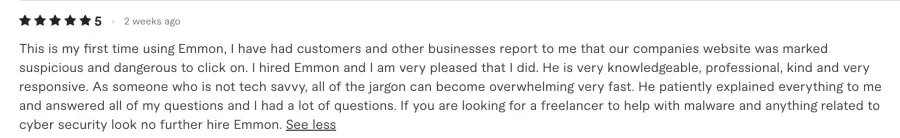 Fiverr client review 1