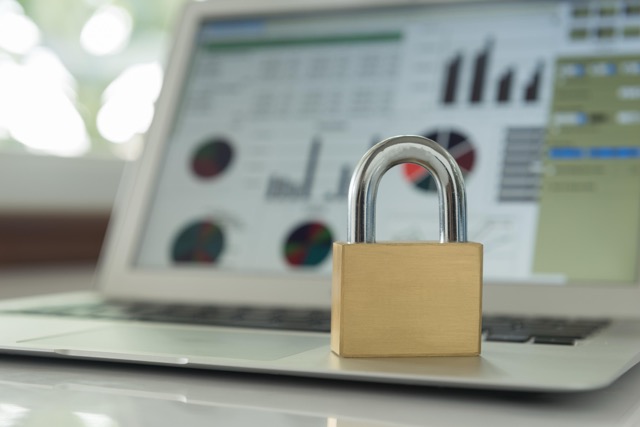 Secure WordPress Themes